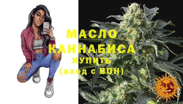 2c-b Бородино