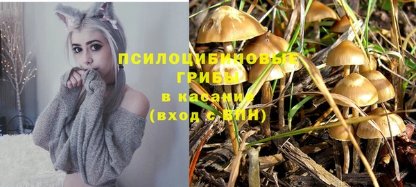 дмт Бронницы