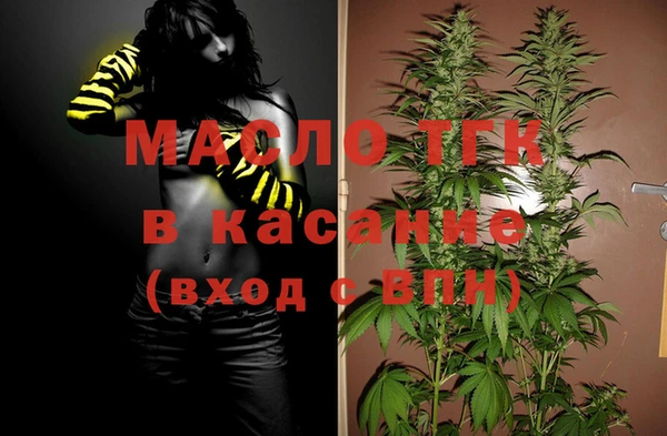 2c-b Бородино