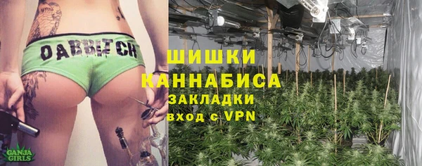 2c-b Бородино