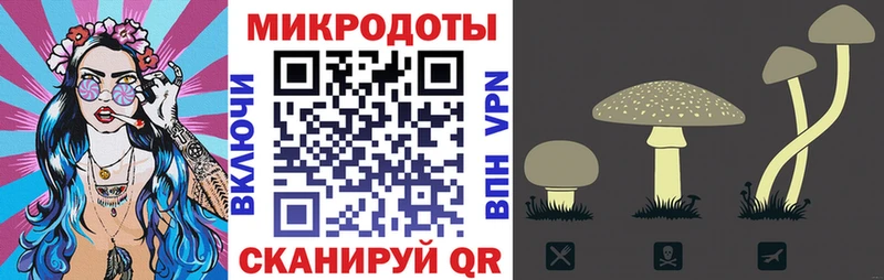 Псилоцибиновые грибы прущие грибы  цена   Гаджиево 